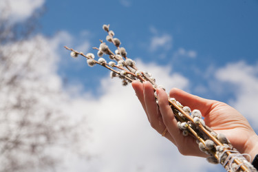 Similar image 7634011