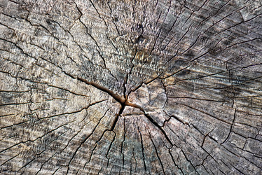 Similar image 7634082