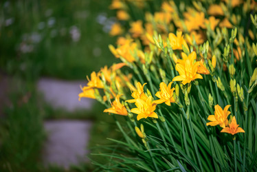 Similar image 7634083