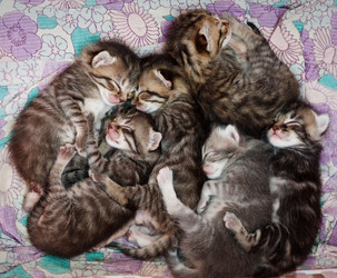 Similar image 7634158