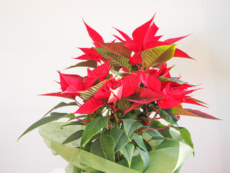 Similar image 7634695