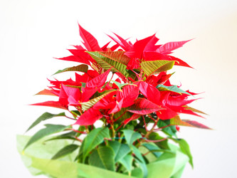 Similar image 7634819