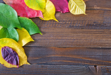 Similar image 7634913