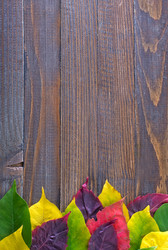 Similar image 7634914