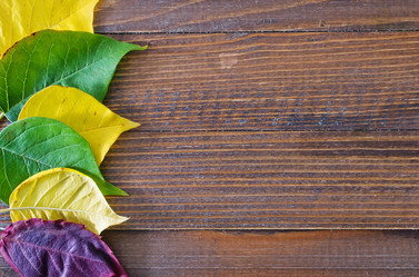 Similar image 7634915