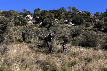 Similar image 7635001