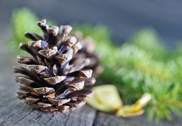 Similar image 7635017