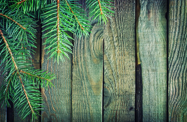 Similar image 7635154