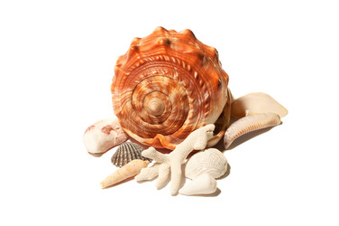 Similar image 7635302