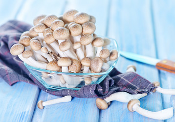 Similar image 7635520