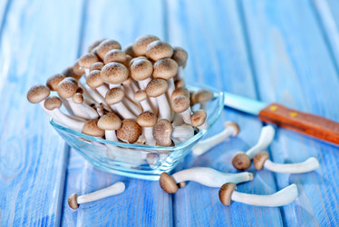 Similar image 7635521