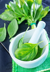 Similar image 7635548