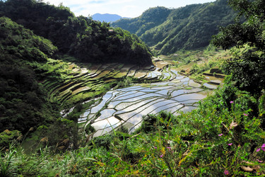 Similar image 7635782