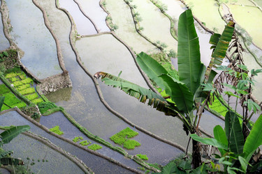 Similar image 7635789