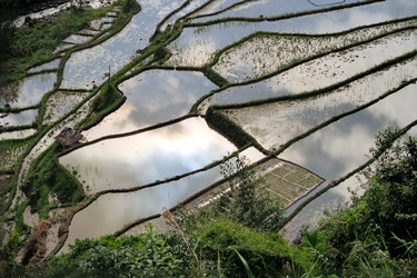 Similar image 7635797