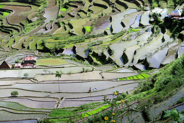 Similar image 7635800