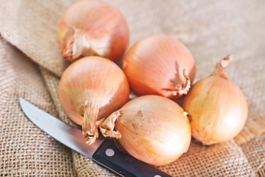 Similar image 7635850