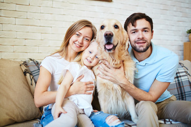 Similar image 7636011