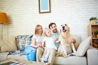 Similar image 7636018