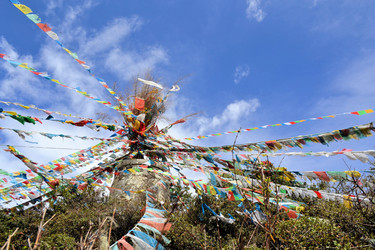 Similar image 7636156