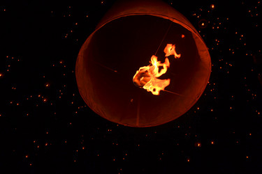 Similar image 7636231