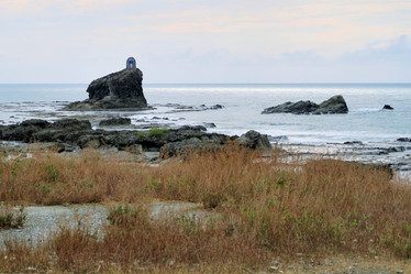 Similar image 7636234