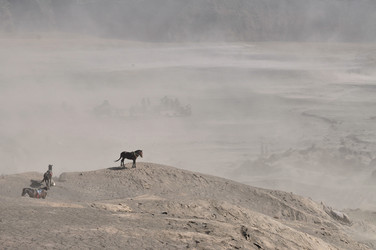 Similar image 7636273