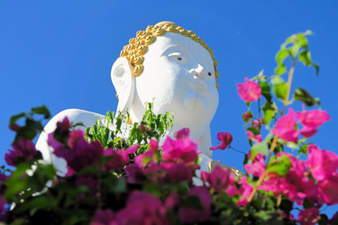 Similar image 7636330