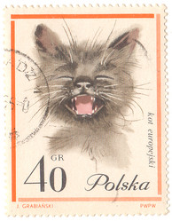 Similar image 7636375