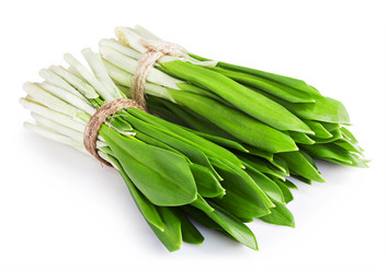 Similar image 7636506