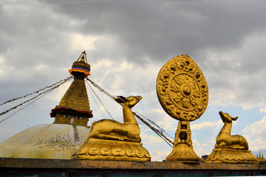 Similar image 7636645