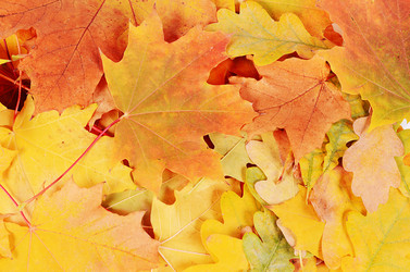 Similar image 7636860