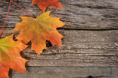 Similar image 7636876