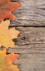 Similar image 7636878