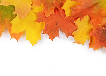 Similar image 7636885