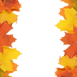 Similar image 7636886