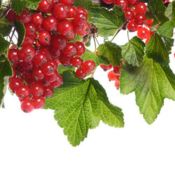 Similar image 7636891