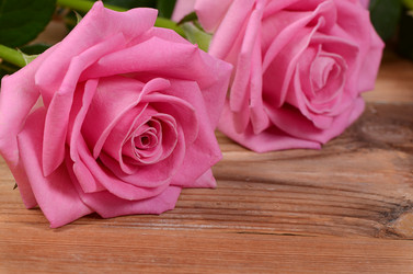 Similar image 7636917