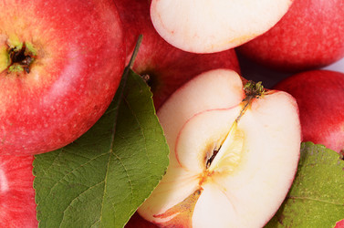 Similar image 7636928