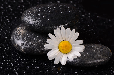 Similar image 7636942