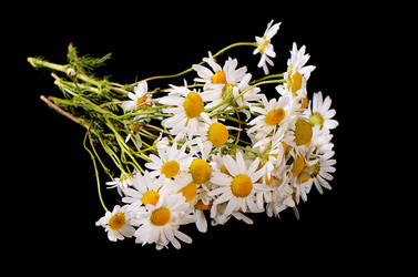 Similar image 7636945