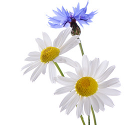 Similar image 7636950