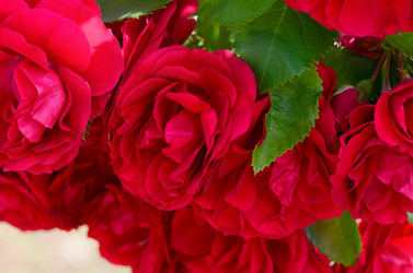 Similar image 7636956