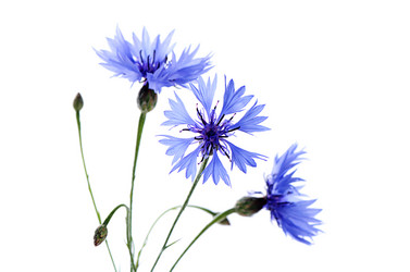 Similar image 7636958