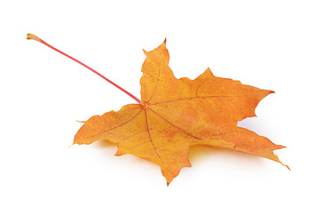 Similar image 7636970