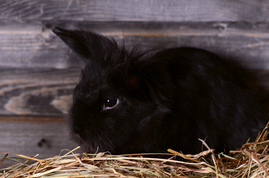 Similar image 7636972