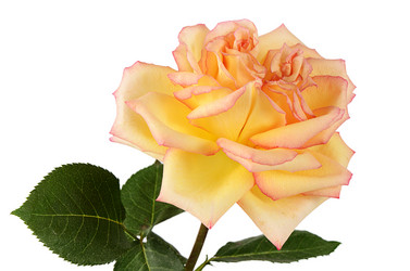 Similar image 7636995