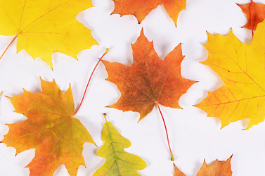 Similar image 7636998