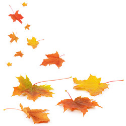 Similar image 7636999