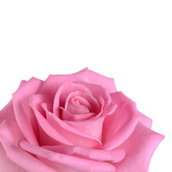 Similar image 7637000